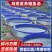 镀锌板帆布水池养殖桶高密度养殖水池蓄水池