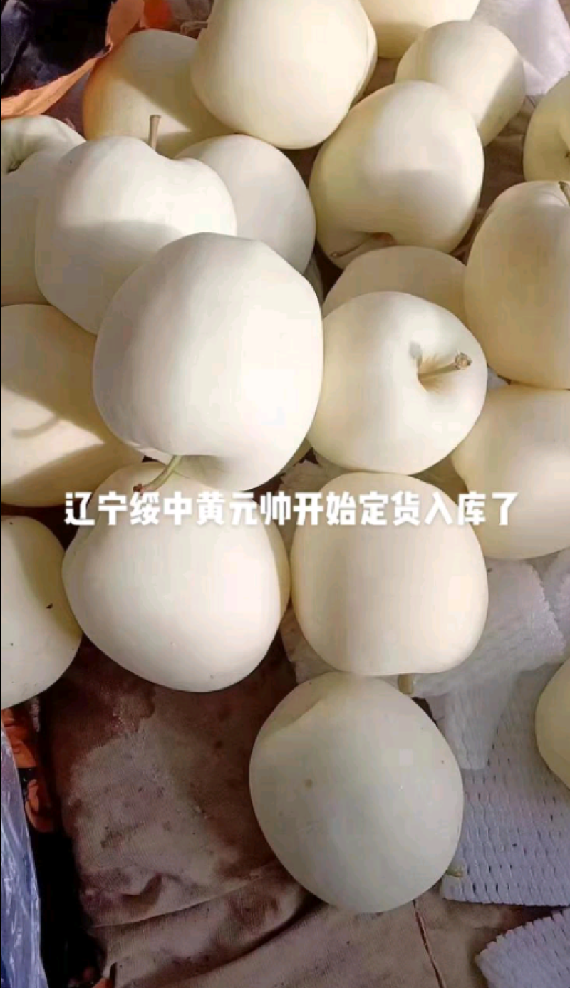 黄元帅苹果产地直销，全国发货