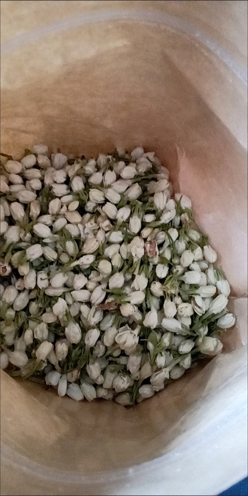茉莉花苞花蕾茉莉花茶茉莉花朵茉莉花干开花茉莉干茶批