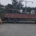 皂角
