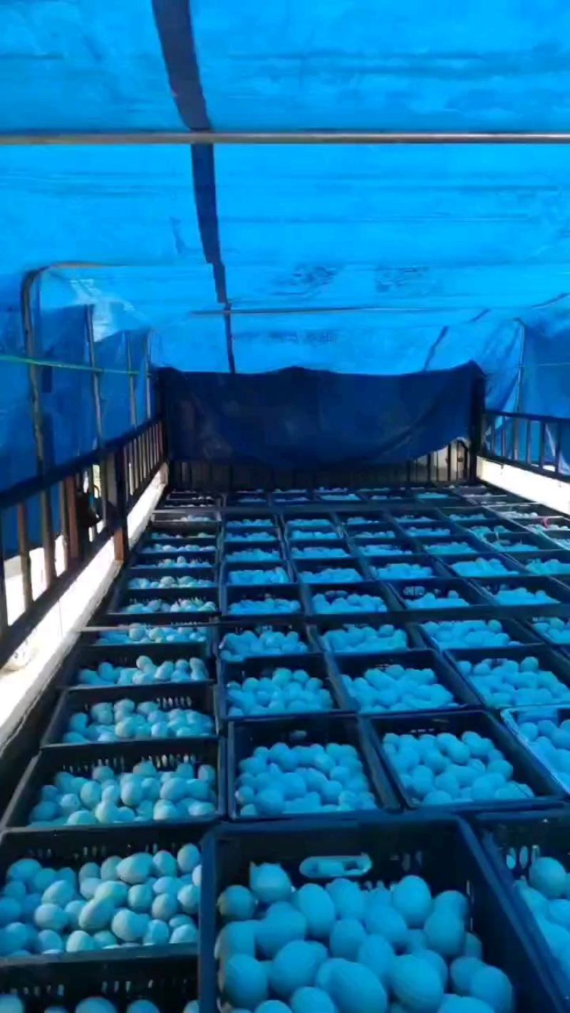江西厂家直销【松花蛋】质量可靠价格便宜价格优惠空间大