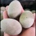 江西厂家直销【松花蛋】质量可靠价格便宜价格优惠空间大