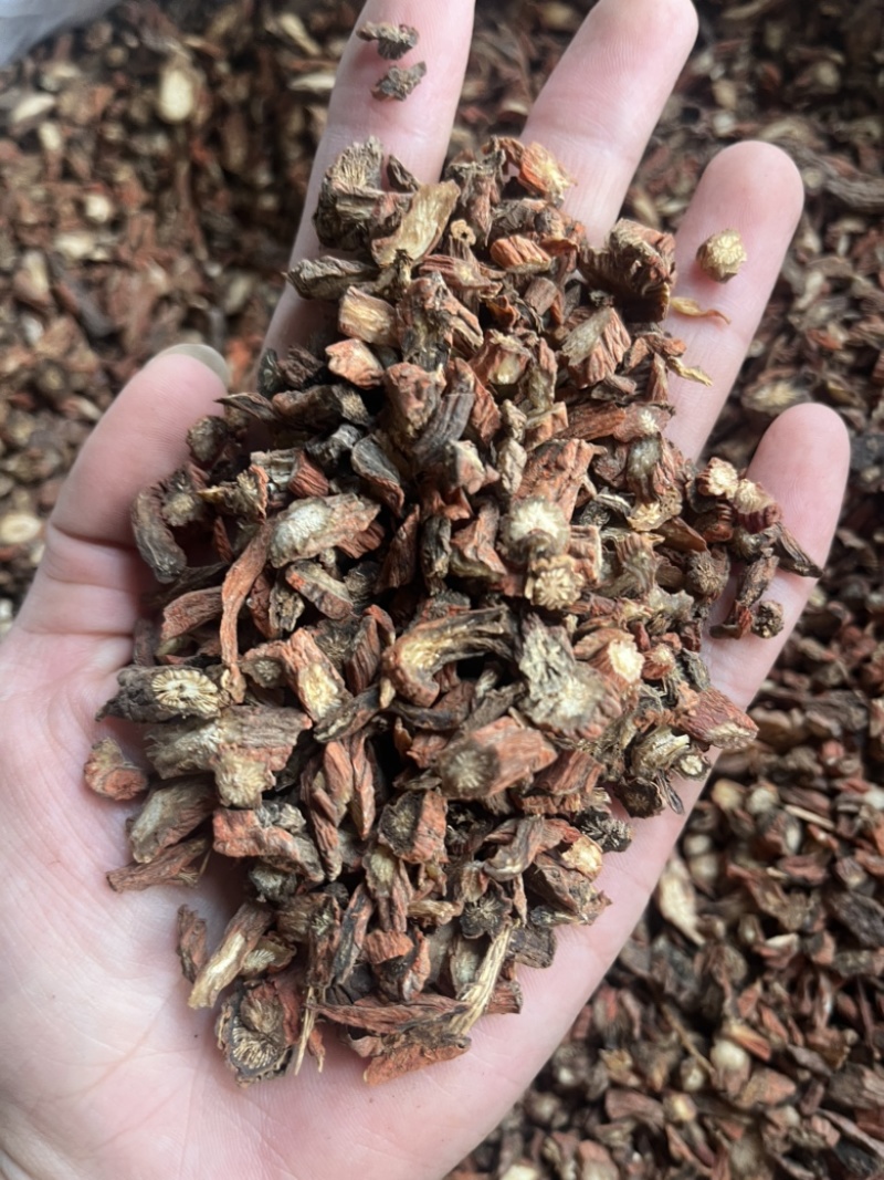 丹参【山东丹参】统装货。文斌药业批发零售