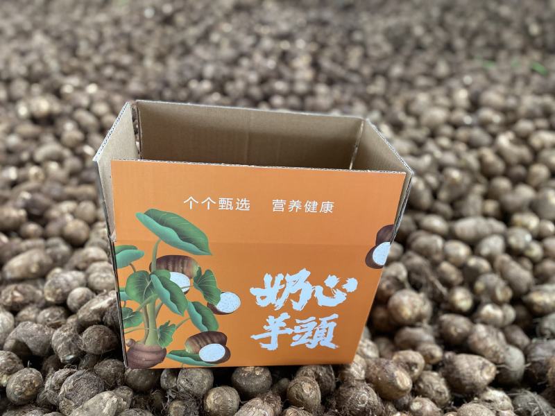 《电商一件代发》山东奶心芋头一件代发毛芋头一件代发质保证