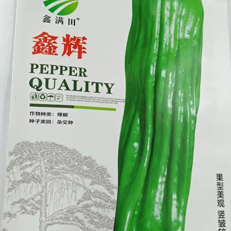 鑫辉辣椒种子