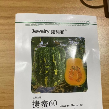 捷密60天南瓜种子