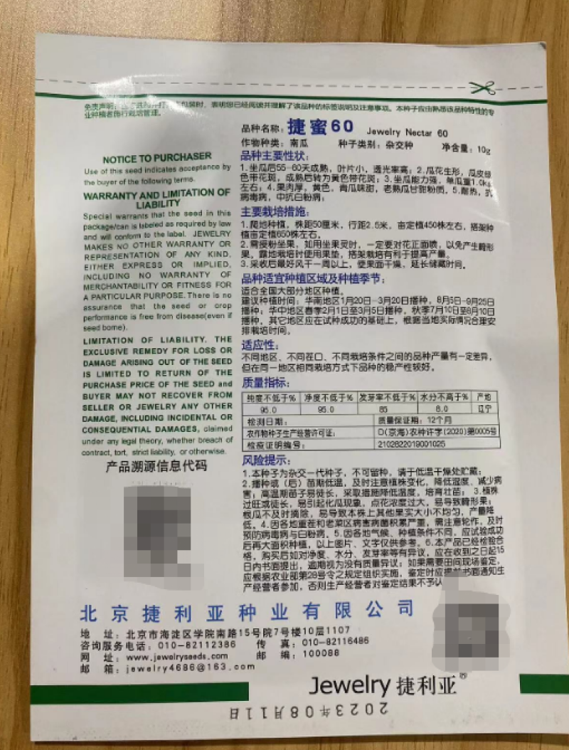 捷密60天南瓜种子