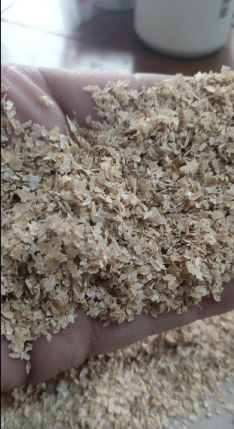 精品麸皮，中大片，中小片，保证质量！