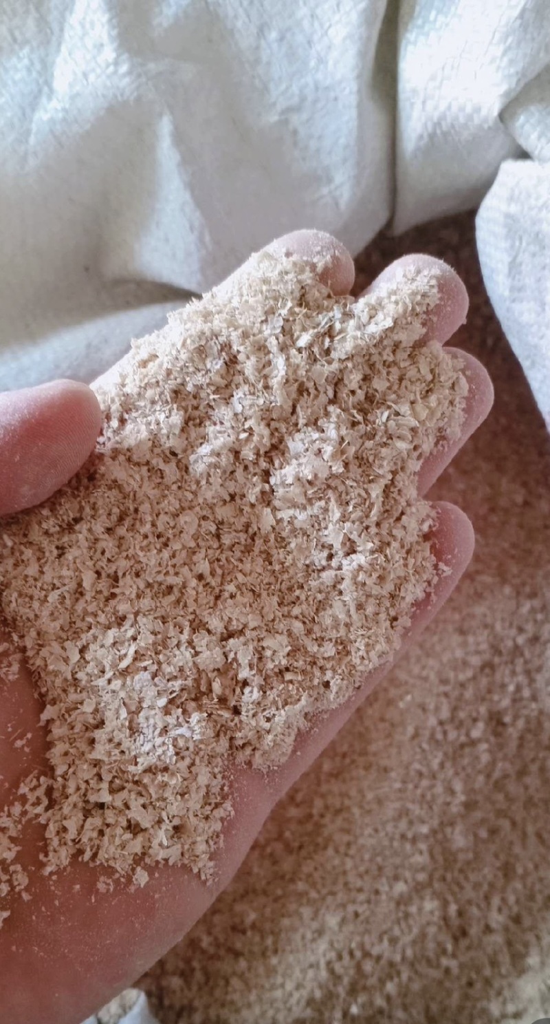 精品麸皮，中大片，中小片，保证质量！