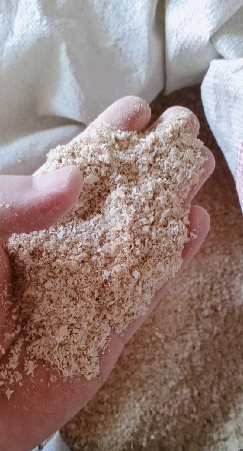 精品麸皮，中大片，中小片，保证质量！