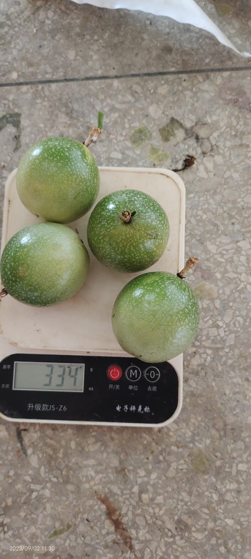 钦密九号百香果桂林