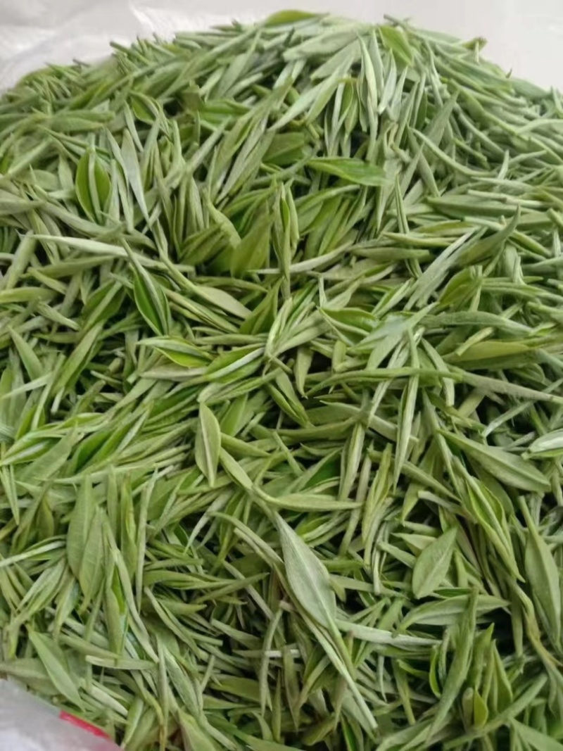 浓栗香毛峰，二采好货，干茶翠绿显毫栗香味十足，泡开芽多