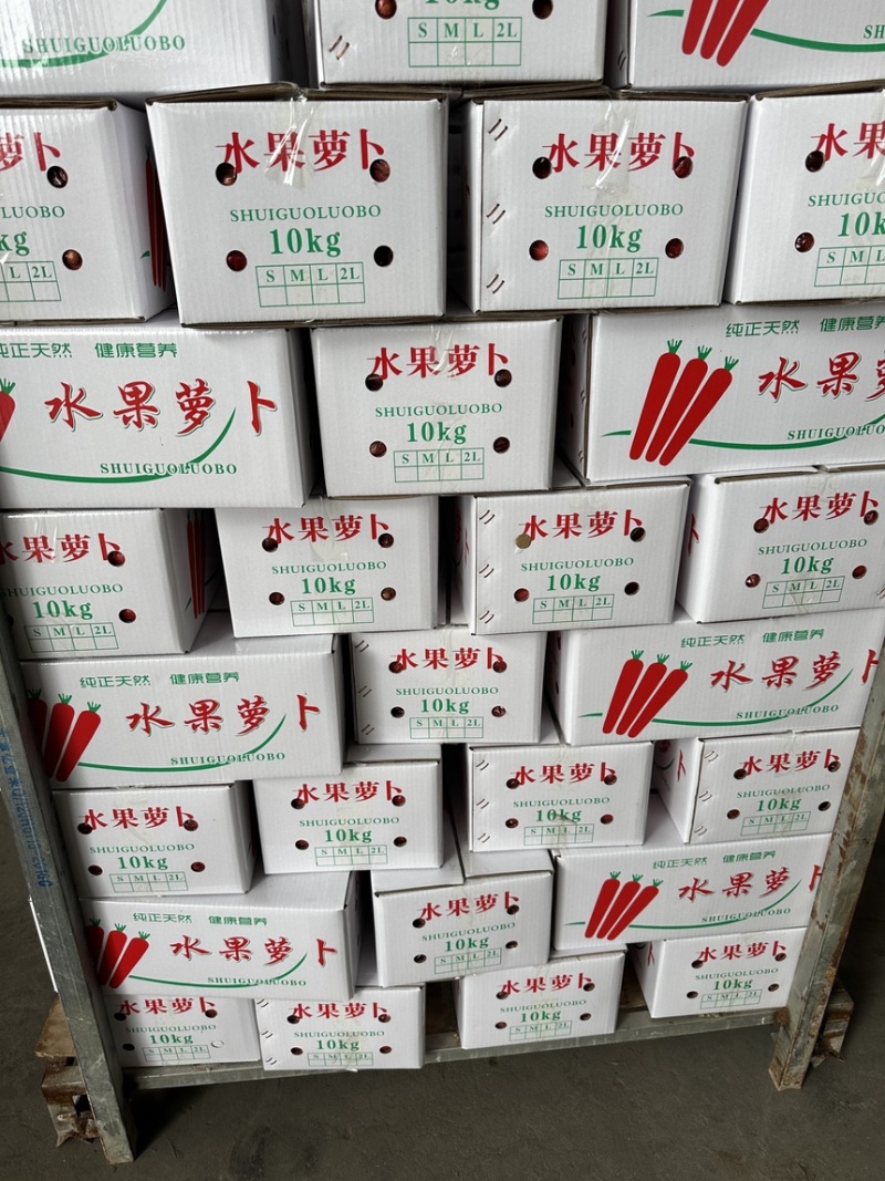 陕西精品沙土地水果红萝卜新鲜供应产地直发欢迎批发