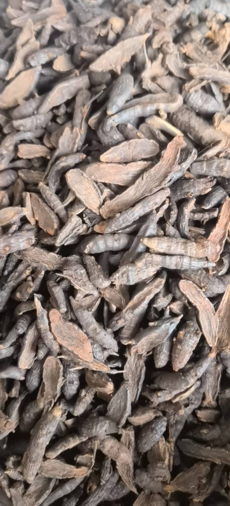 香附醋香附片新货关书药业批发中药材1000克起