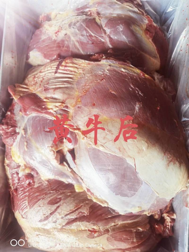 【牛肉】当地黄牛肉鲜冻！牛腿肉牛前牛后，屠宰场直销！