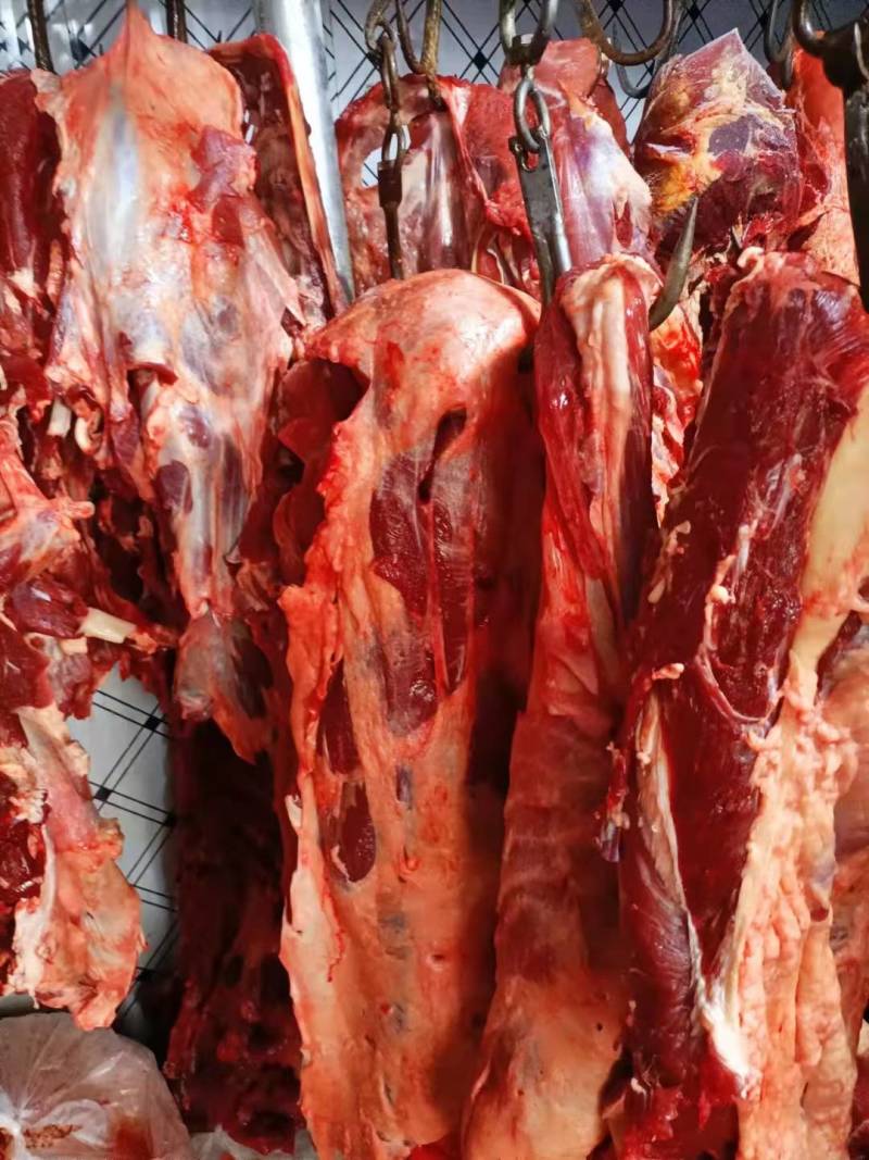 【牛肉】当地黄牛肉鲜冻！牛腿肉牛前牛后，屠宰场直销！