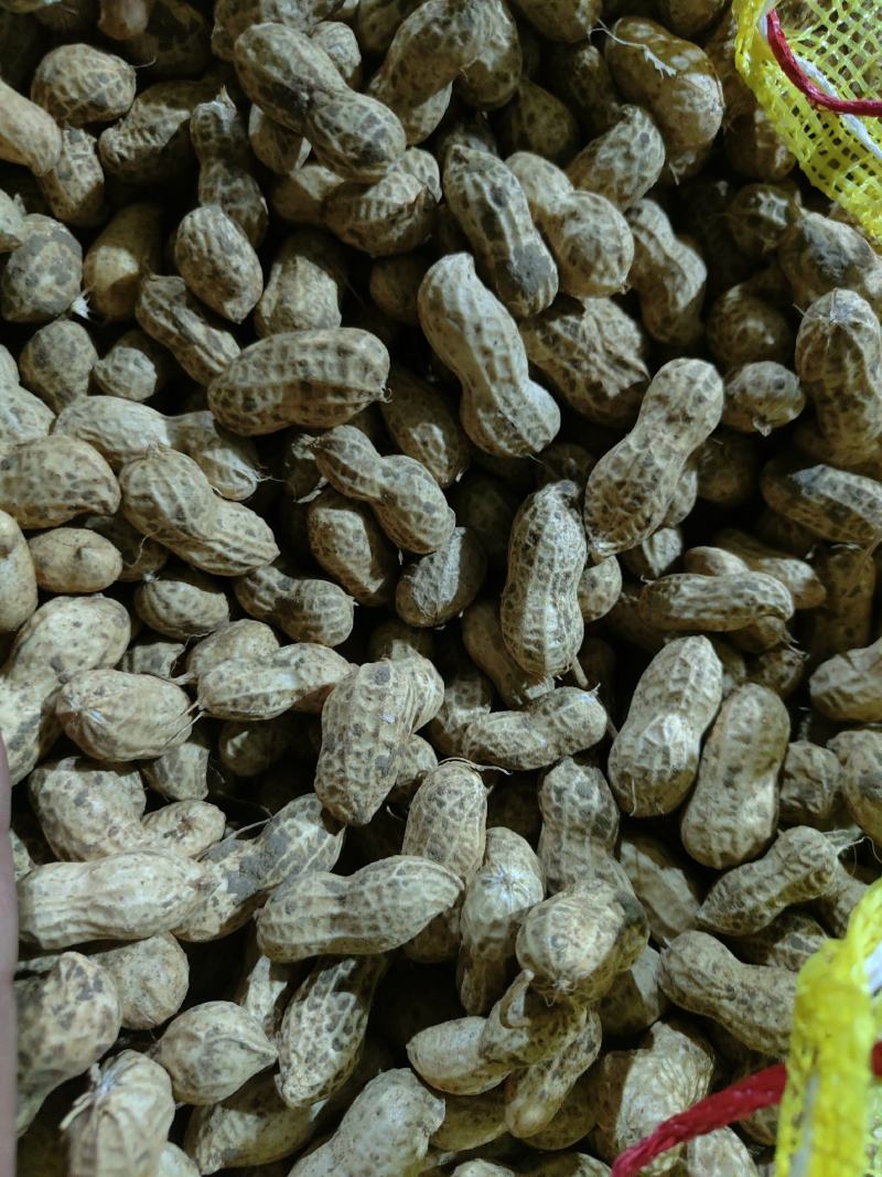 精品花生，产地直销，货源充足，价格优惠，合作共赢，