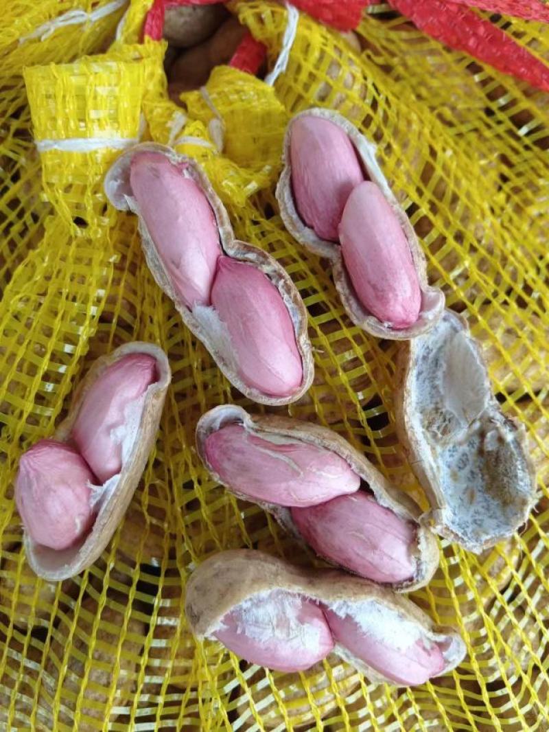 精品花生，产地直销，货源充足，价格优惠，合作共赢，