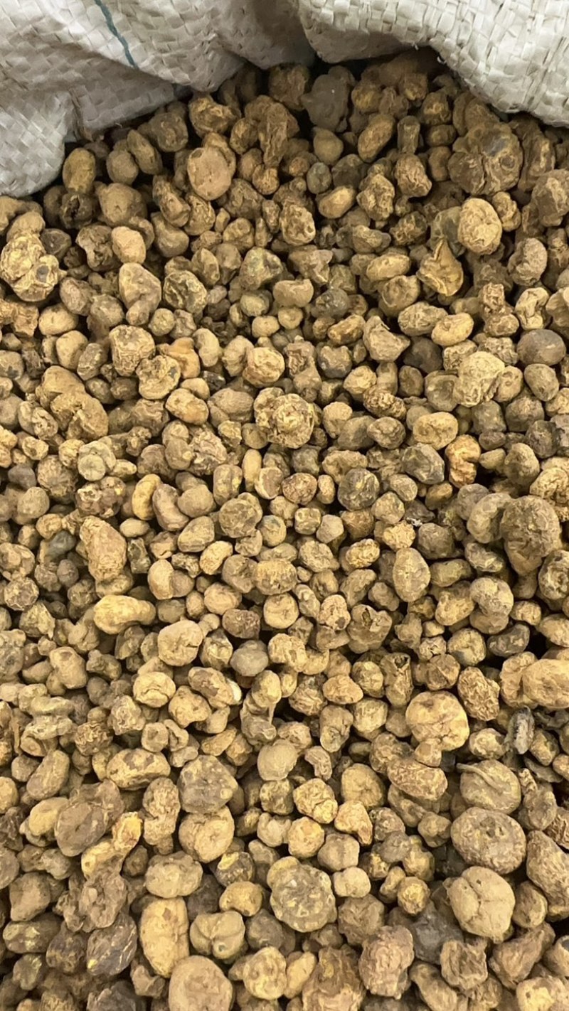 元胡粉切片切片下各种规格元胡个元胡颗粒