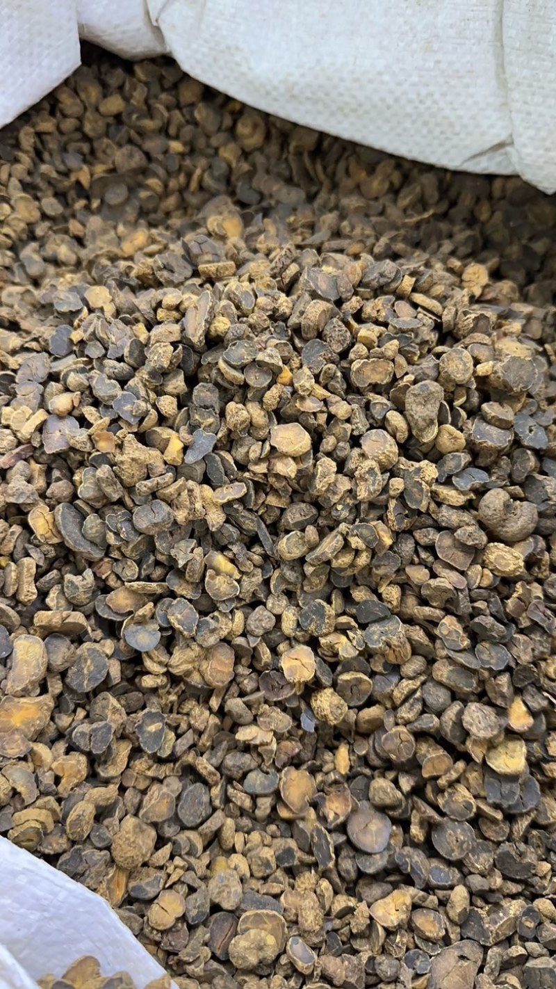 元胡粉切片切片下各种规格元胡个元胡颗粒