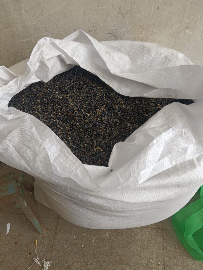 黑豆衣，新货干度好无硫实拍现货24小时内发货
