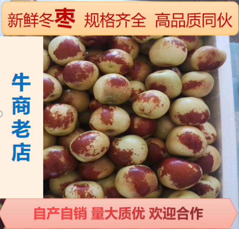 【自产自销】山东滨州冬枣新鲜冬枣现货供应欢迎合作