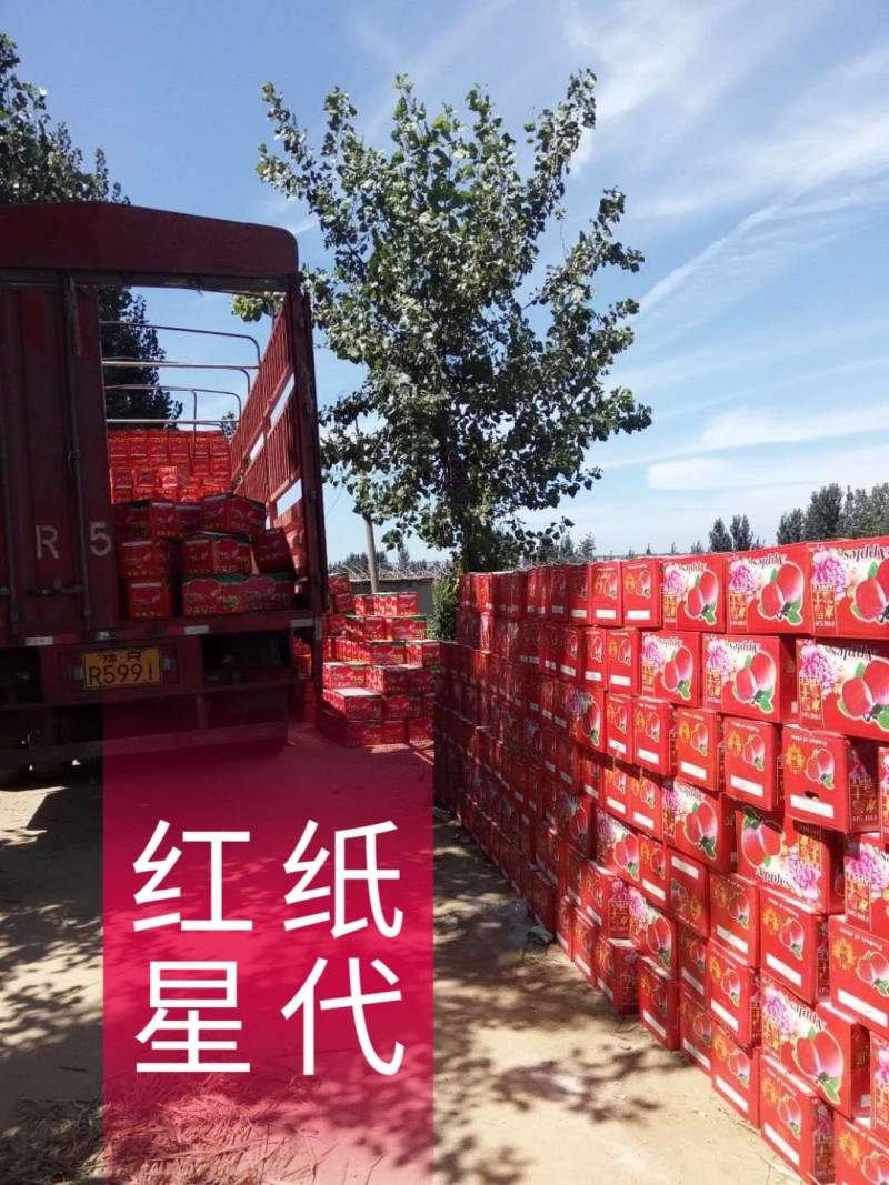 纸代红星苹果，苹果，又大又红，口感脆甜。报实价