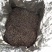 鸭屎香密兰香单枞茶潮州凤凰单丛花香散装批发价
