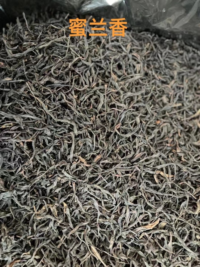 鸭屎香密兰香单枞茶潮州凤凰单丛花香散装批发价
