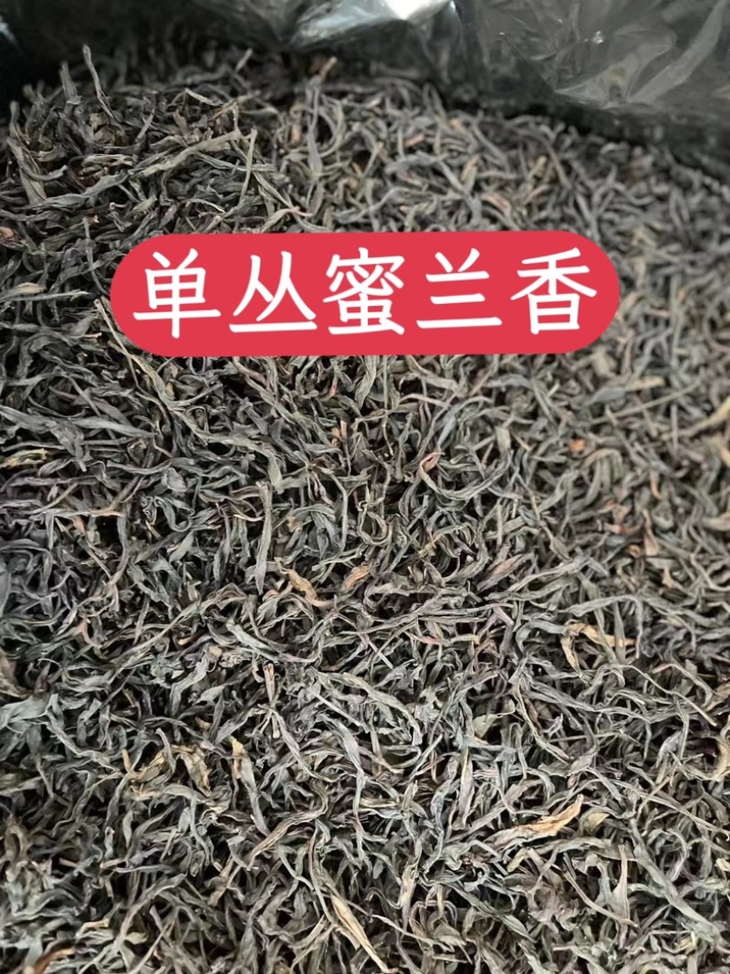 鸭屎香密兰香单枞茶潮州凤凰单丛花香散装批发价