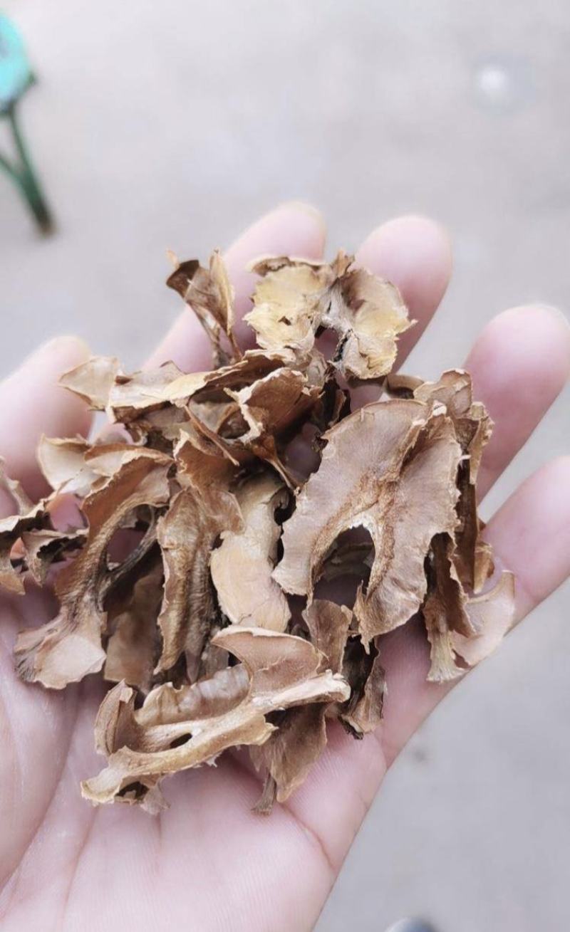 分心木，新货，产地一手货源，实拍现货24小时内发货