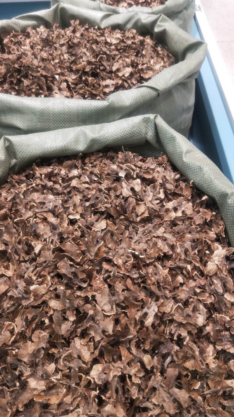 分心木，新货，产地一手货源，实拍现货24小时内发货