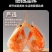 香烤虾干即食虾干大号对虾炭烤海鲜干货过年小吃美食特产