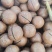 澳洲夏威夷坚果