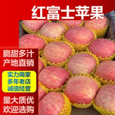红富士苹果全年供应，口感脆甜，整车批发，坏果包赔