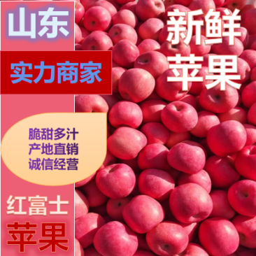 山东红富士苹果产区，专业整车批发，质量保证