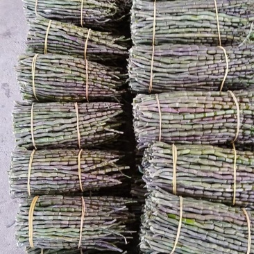 铁皮石斛，基地直发，可选长度，质量保证，一手货源