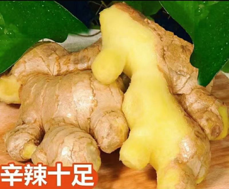 云南小黄姜姜味浓郁香辣多汁美味保质保量5斤1件包邮