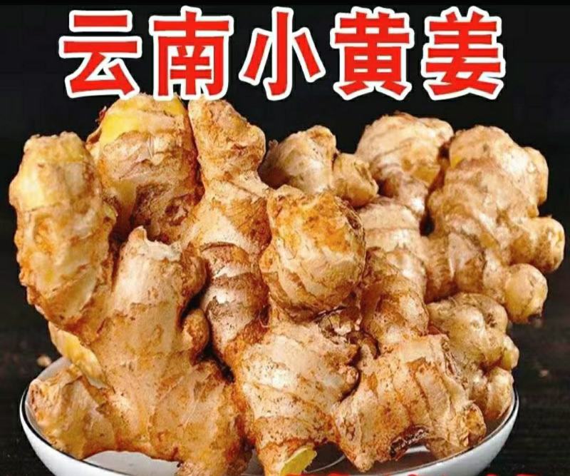 云南小黄姜姜味浓郁香辣多汁美味保质保量5斤1件包邮