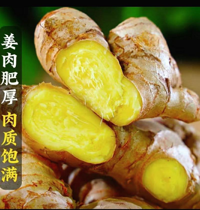 云南小黄姜姜味浓郁香辣多汁美味保质保量5斤1件包邮