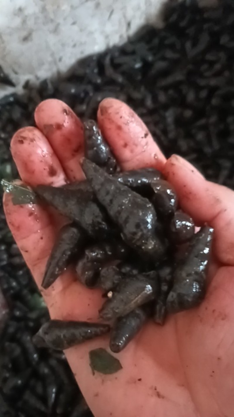 各种规格大量供应