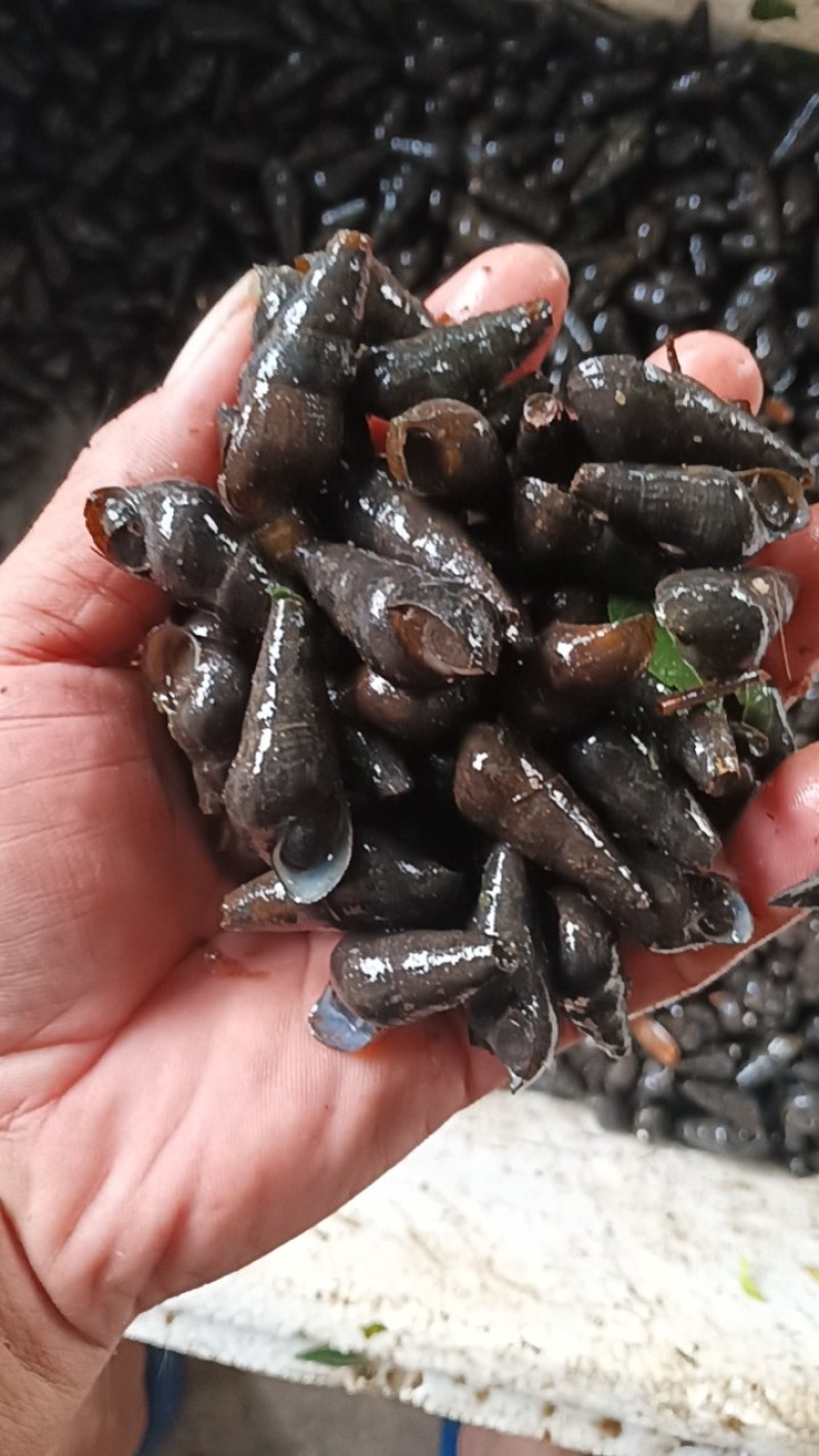 各种规格大量供应