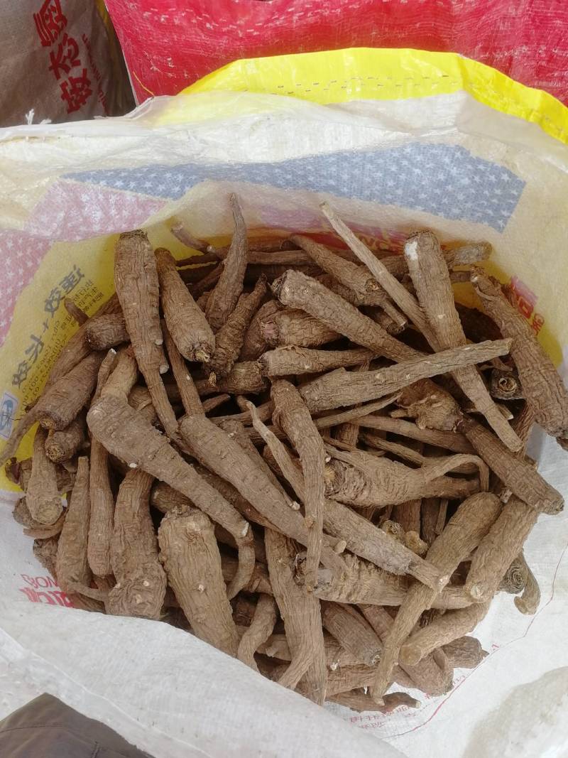 【推荐】白芷精品白芷品质保证量大价优可视频看货欢迎