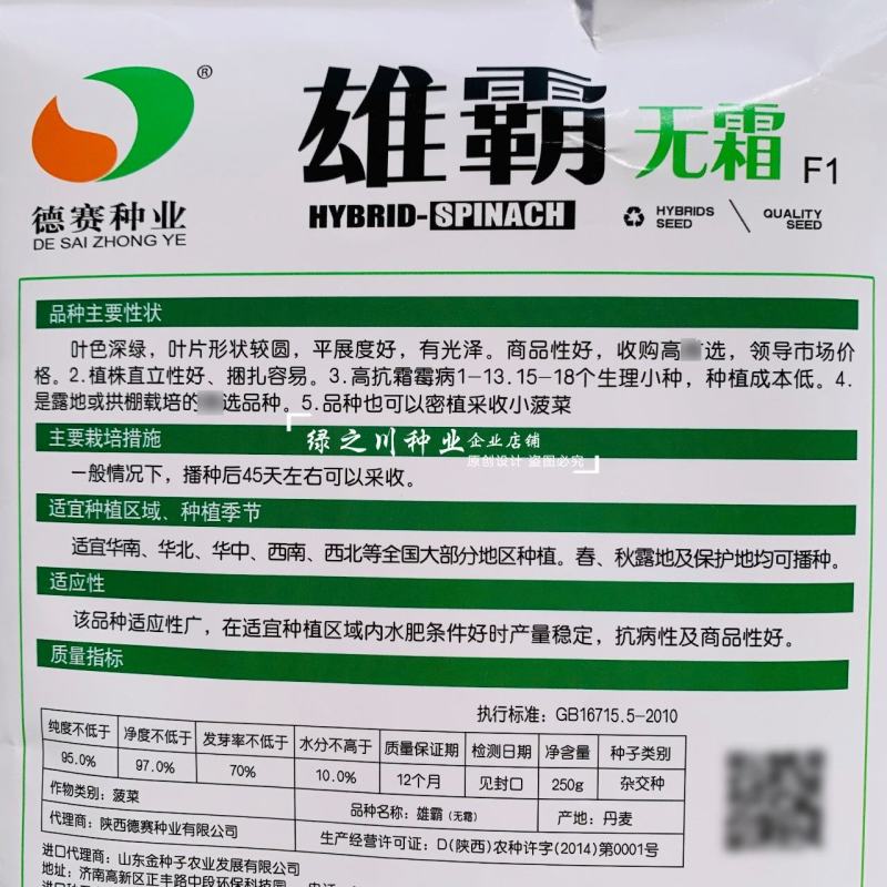 雄霸无霜黑叶菠菜种子直立性好抗病强丹麦进口菠菜种籽好捆扎