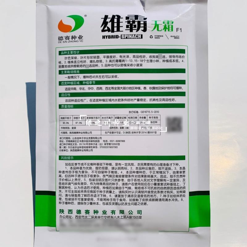 雄霸无霜黑叶菠菜种子直立性好抗病强丹麦进口菠菜种籽好捆扎