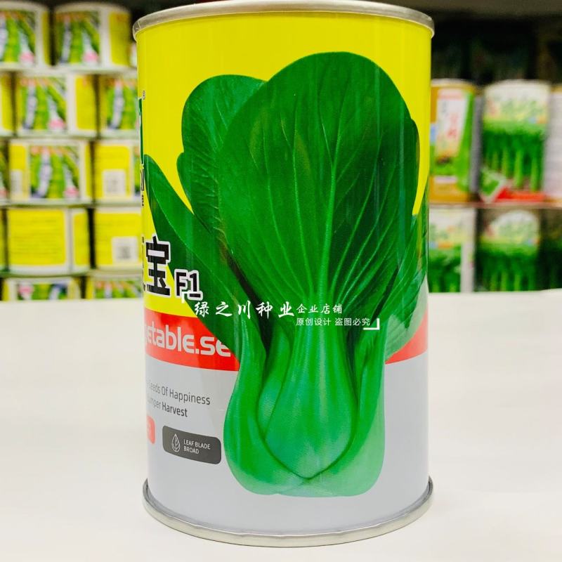 早熟耐湿抗热青梗菜种子夏宝青菜种子口感甜糯鲜嫩株型直立