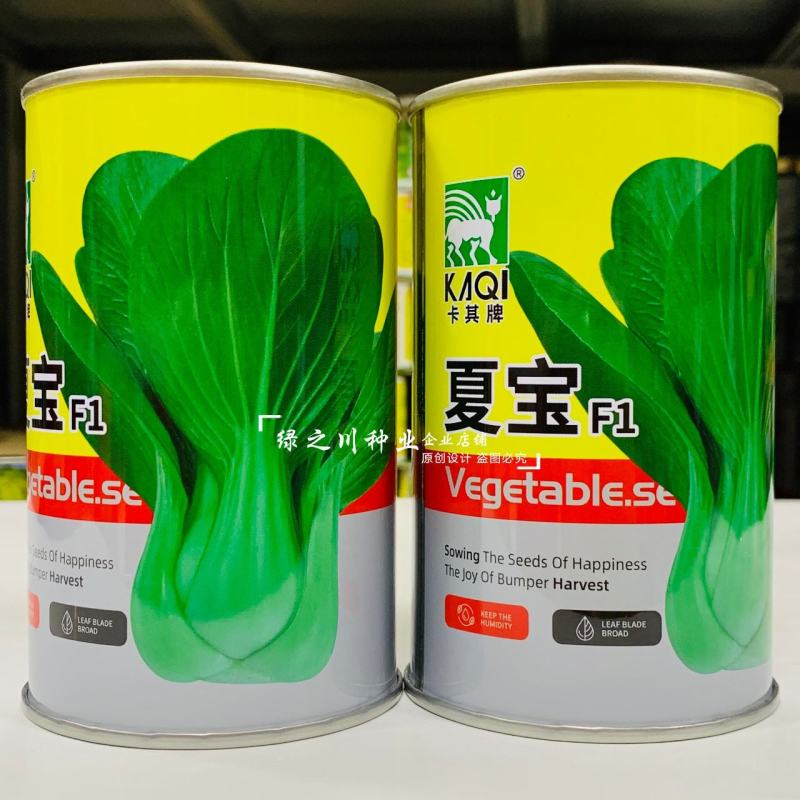 早熟耐湿抗热青梗菜种子夏宝青菜种子口感甜糯鲜嫩株型直立