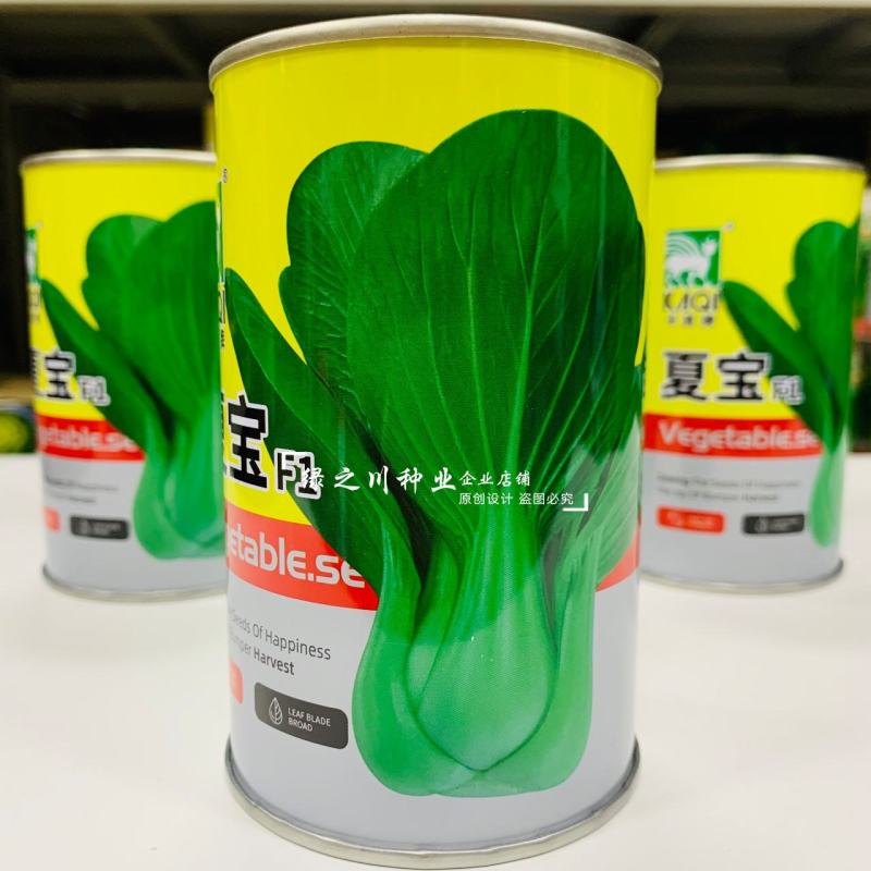 早熟耐湿抗热青梗菜种子夏宝青菜种子口感甜糯鲜嫩株型直立