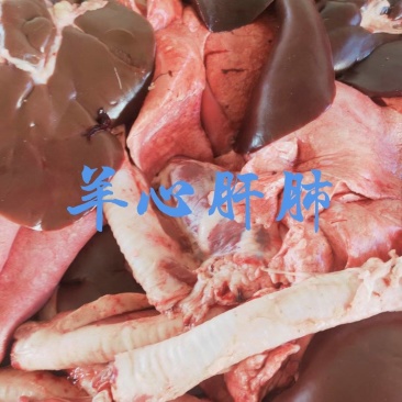 【羊心肝肺】当地草原绵羊心肝肺！新鲜速冻！全国发货量大优