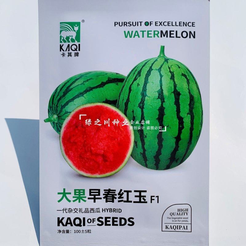 卡其大果早春红玉西瓜种子礼品西瓜种子花皮椭圆形小西瓜种籽
